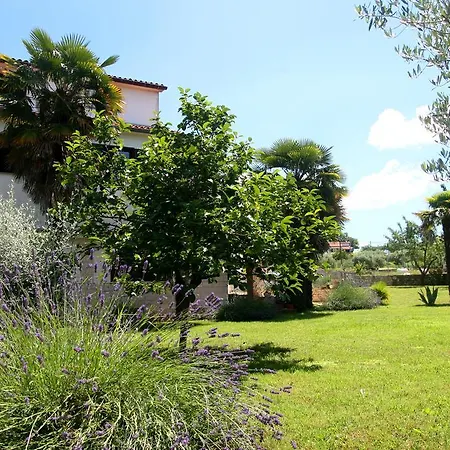 Appartamento Korsa Sveti Lovreč Pazenatički